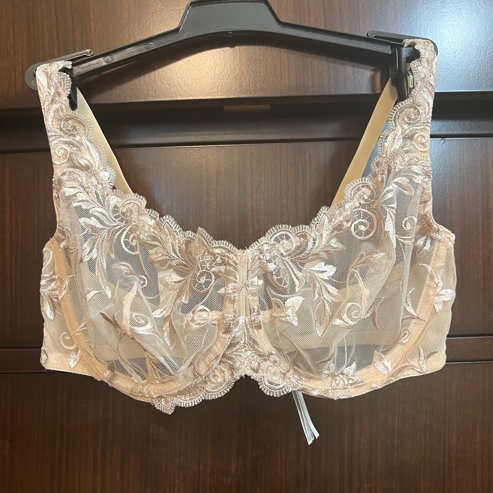 Wacoal Sensuous Lace Unlined Embroidered Bra 36C
